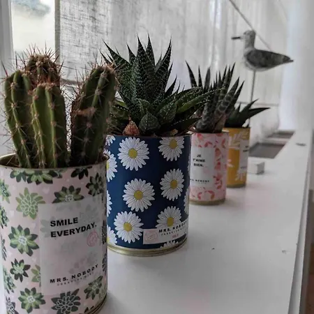 Sunny Side -maison 5 Casa vacanze Le Touquet